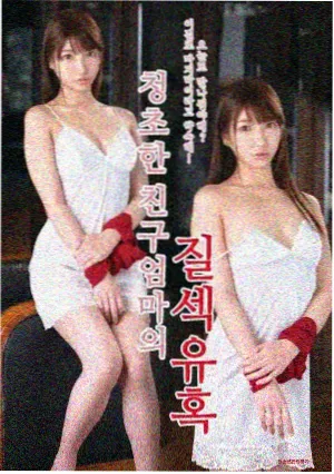 韩国现实主义电影完整版辩护人海报